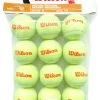 Wilson Starter Orange Tennis Balls Dozen